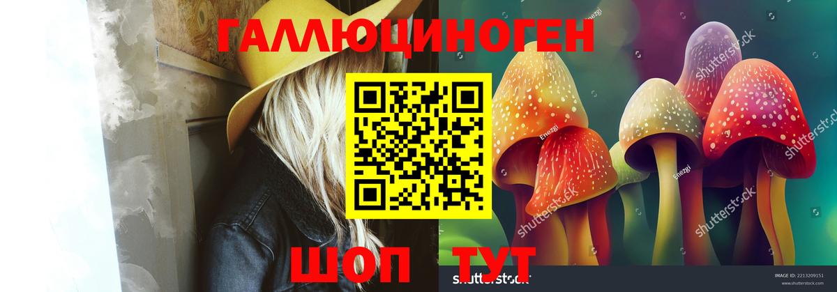 Галлюциногенные грибы Psilocybine cubensis Тихорецк